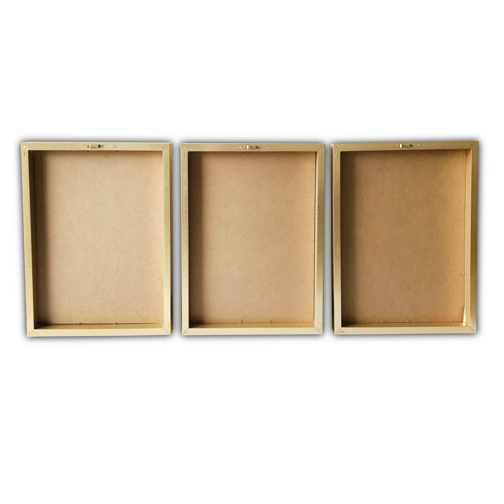 Set Of Three Three Neutral Brown Feathers Framed Wall Art Set Picture Frame Graphic Art Wall Art - Homeroots - Flyclothing LLC