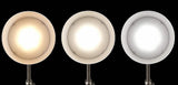 Brushed Silver LED Adjustable Desk Lamp - Homeroots - Flyclothing LLC