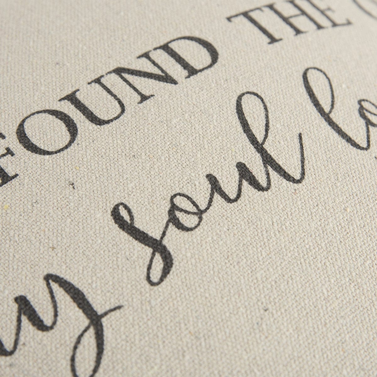 Gray Taupe Canvas Found the One Throw Pillow - Homeroots