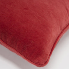 20" Red Cotton Throw Pillow - Homeroots