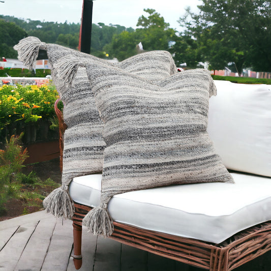 Set of Two 20" X 20" Gray Indoor Outdoor Throw Pillow Cover & Insert - Homeroots