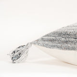 Set of Two 20" X 20" Gray Indoor Outdoor Throw Pillow Cover & Insert