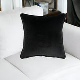 20" Black Cotton Throw Pillow - Homeroots