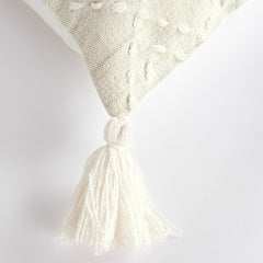 20" Ivory Herringbone Cotton Throw Pillow With Tassles
