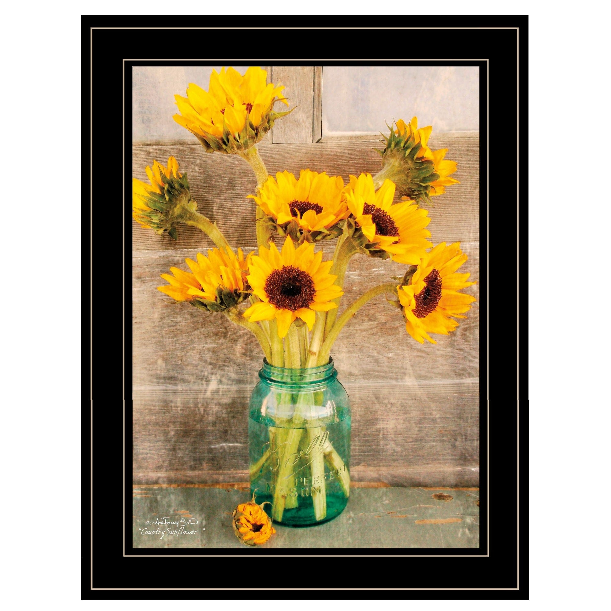 Country Sunflowers I 2 Black Framed Print Wall Art - Homeroots