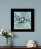 Simplicity Owl 2 Black Framed Print Wall Art - Homeroots