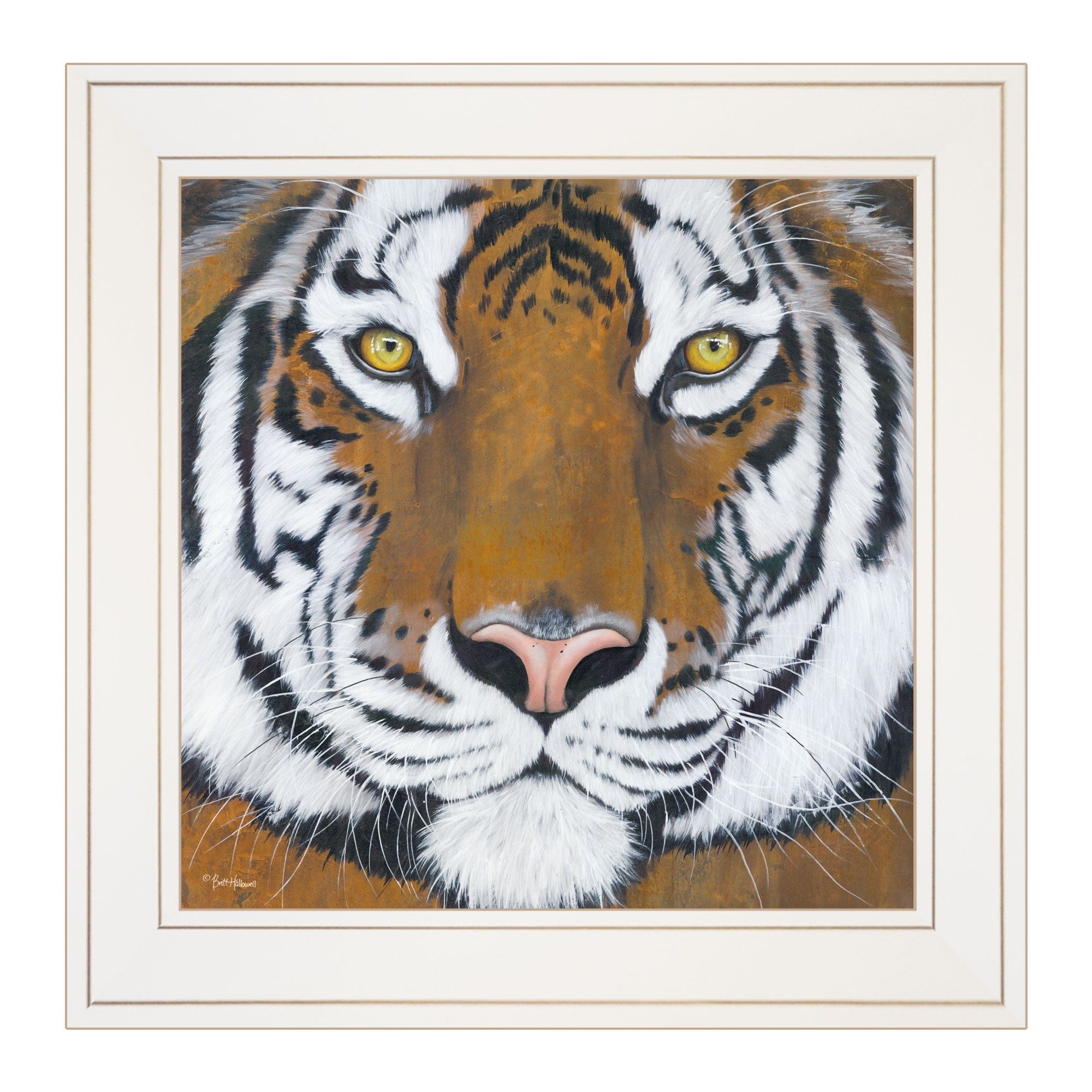 Tiger Gaze 1 White Framed Print Wall Art - Homeroots