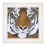 Tiger Gaze 1 White Framed Print Wall Art - Homeroots - Flyclothing LLC