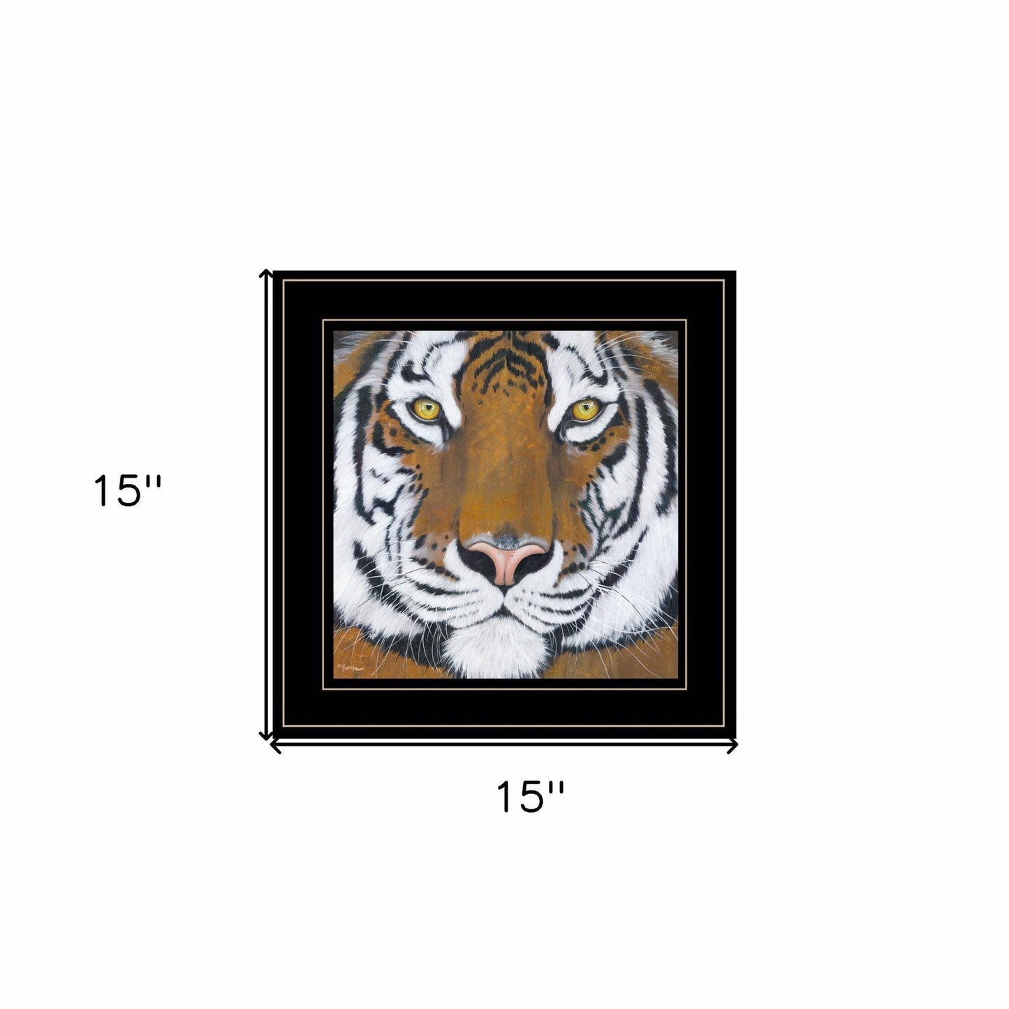 Tiger Gaze 2 Black Framed Print Wall Art - Homeroots - Flyclothing LLC