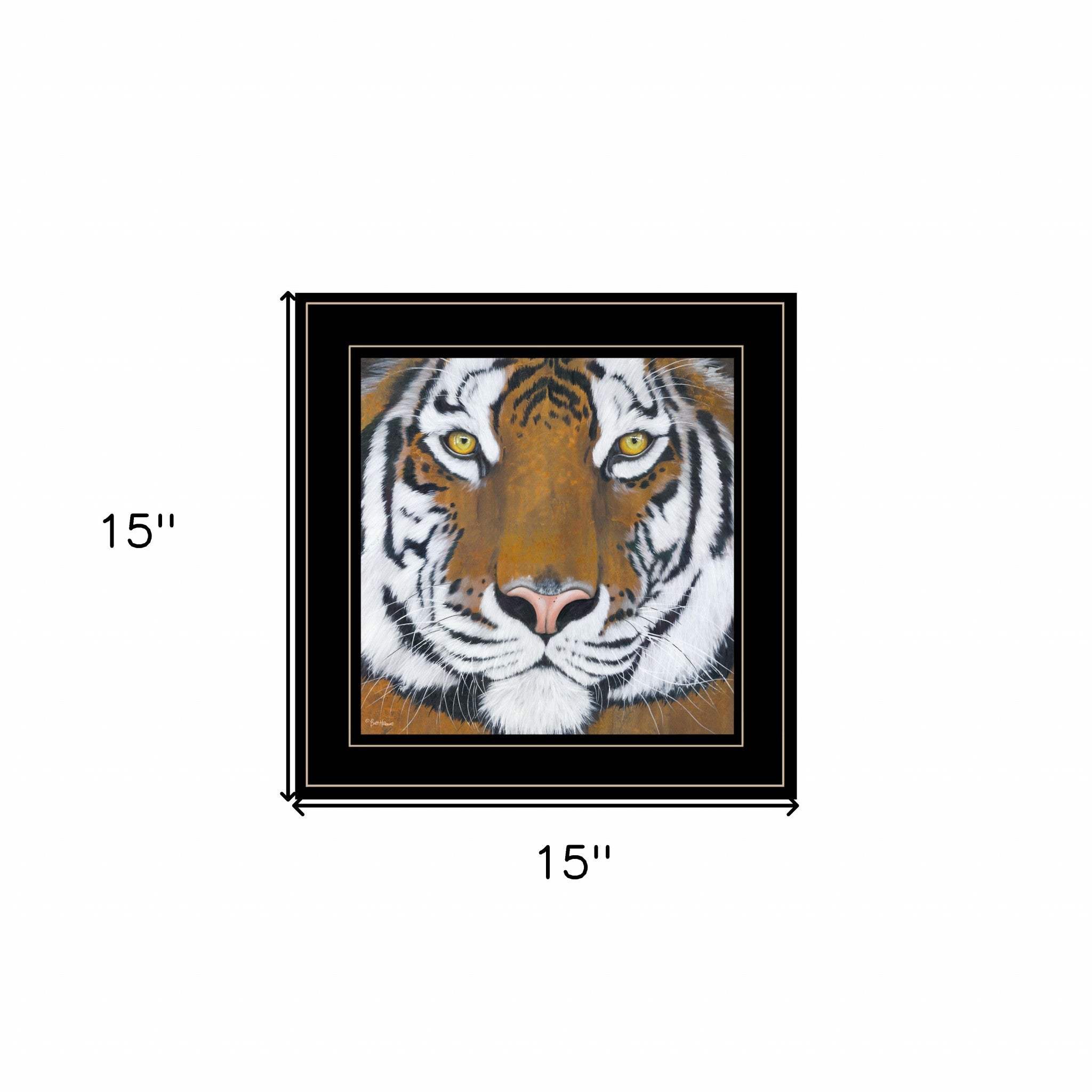 Tiger Gaze 2 Black Framed Print Wall Art - Homeroots - Flyclothing LLC