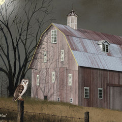 Midnight Moon 5 White Framed Print Wall Art - Homeroots