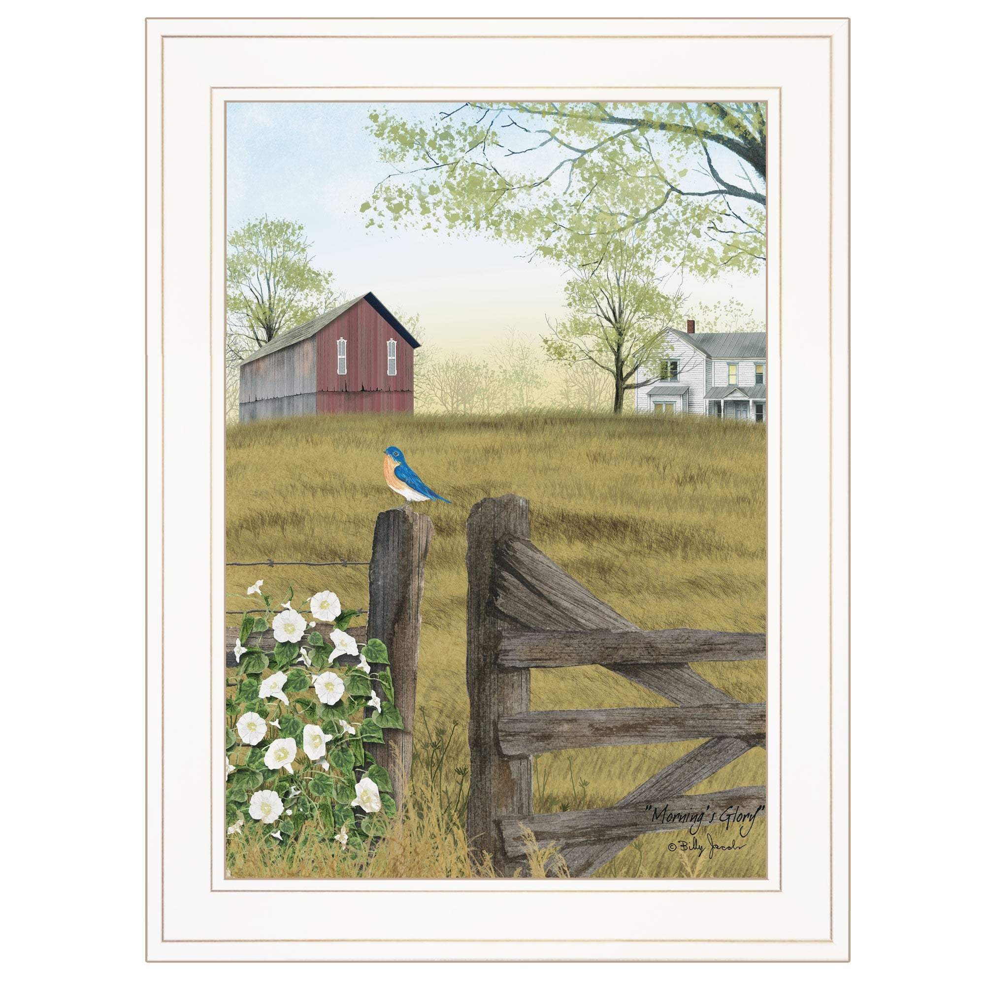 Mornings Glory 1 White Framed Print Wall Art - Homeroots - Flyclothing LLC