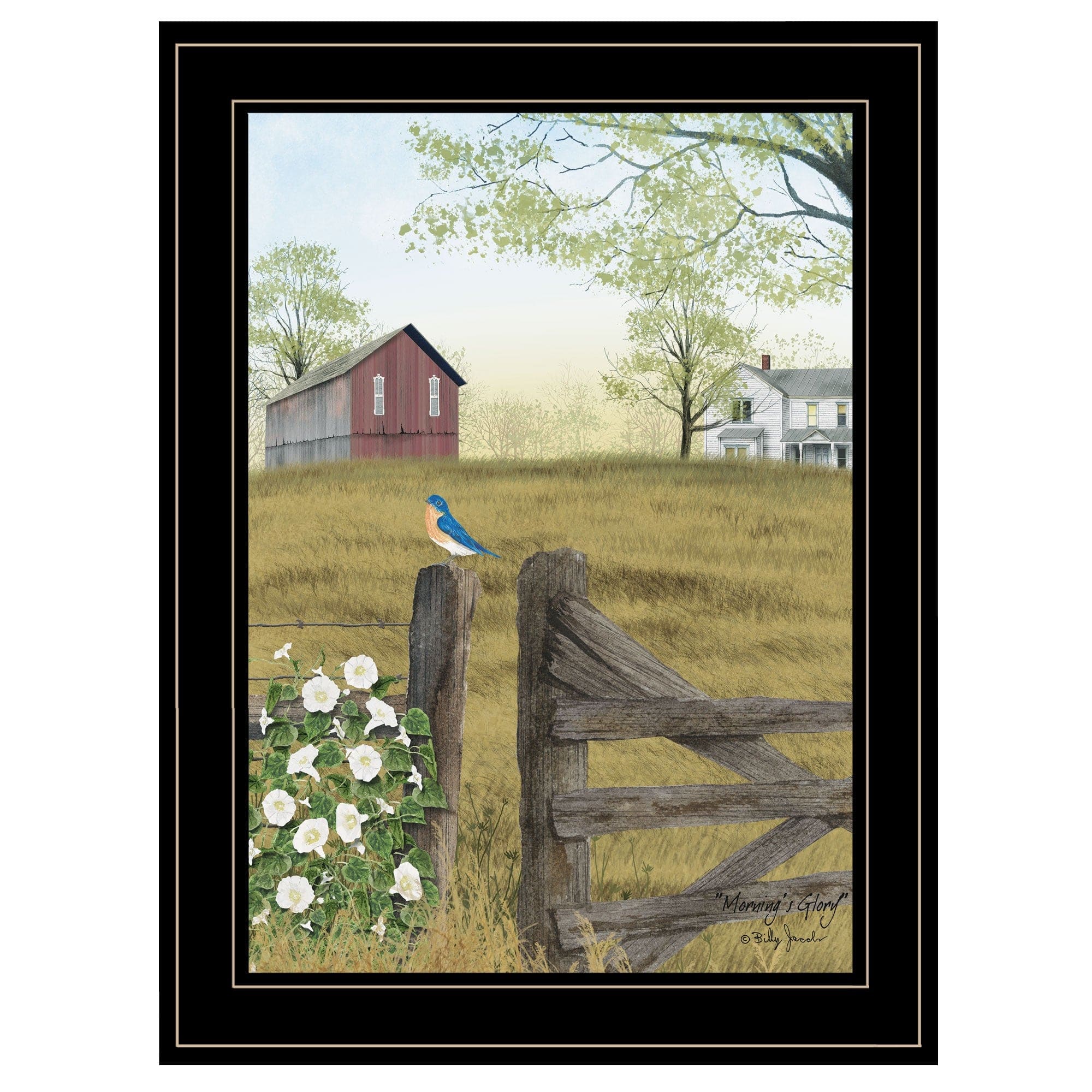 Mornings Glory 2 Black Framed Print Wall Art - Homeroots