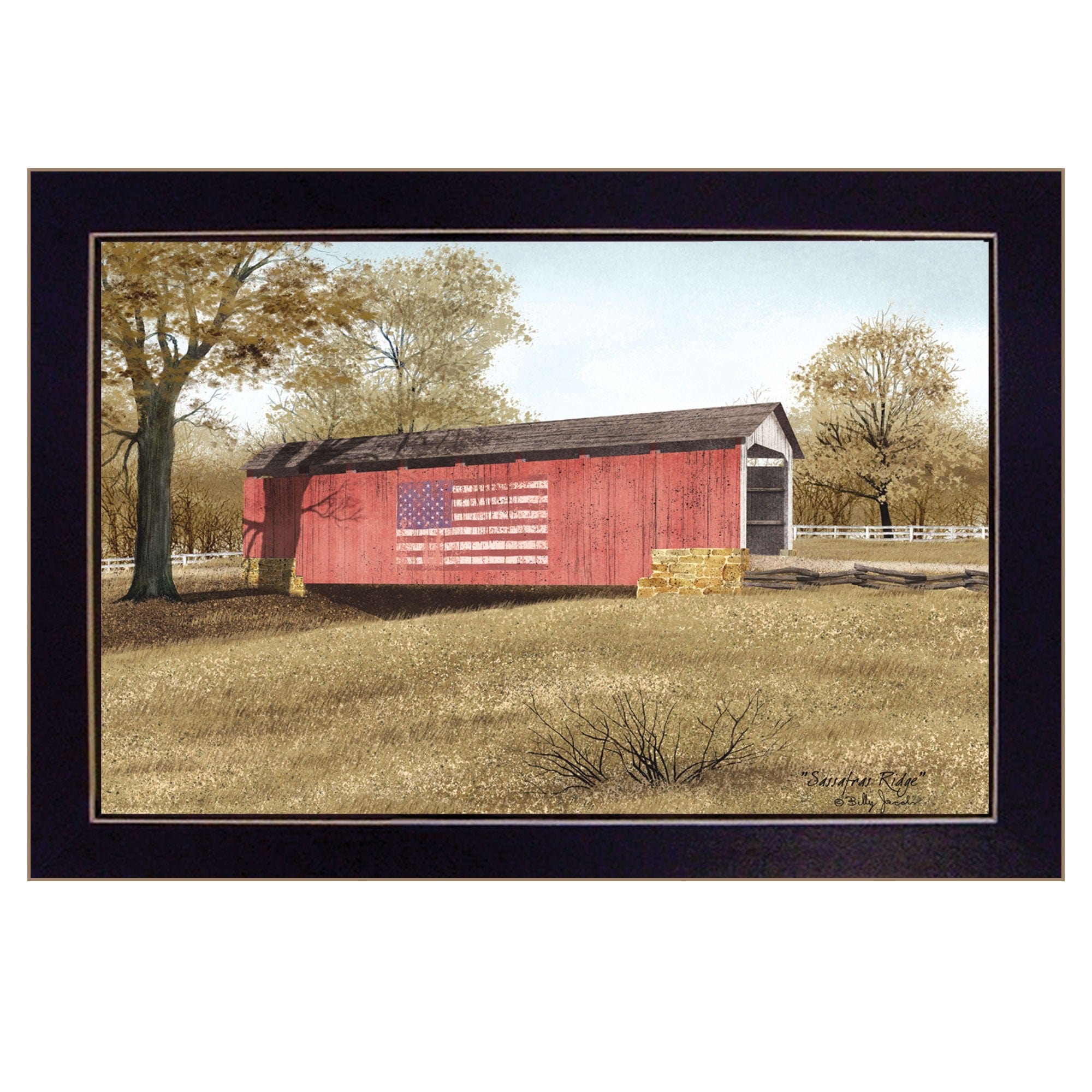 Sassafras Ridge 3 Black Framed Print Wall Art - Homeroots