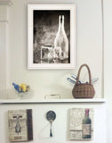Moody Gray Glassware Still Life 1 White Framed Print Kitchen Wall Art - Homeroots - Flyclothing LLC