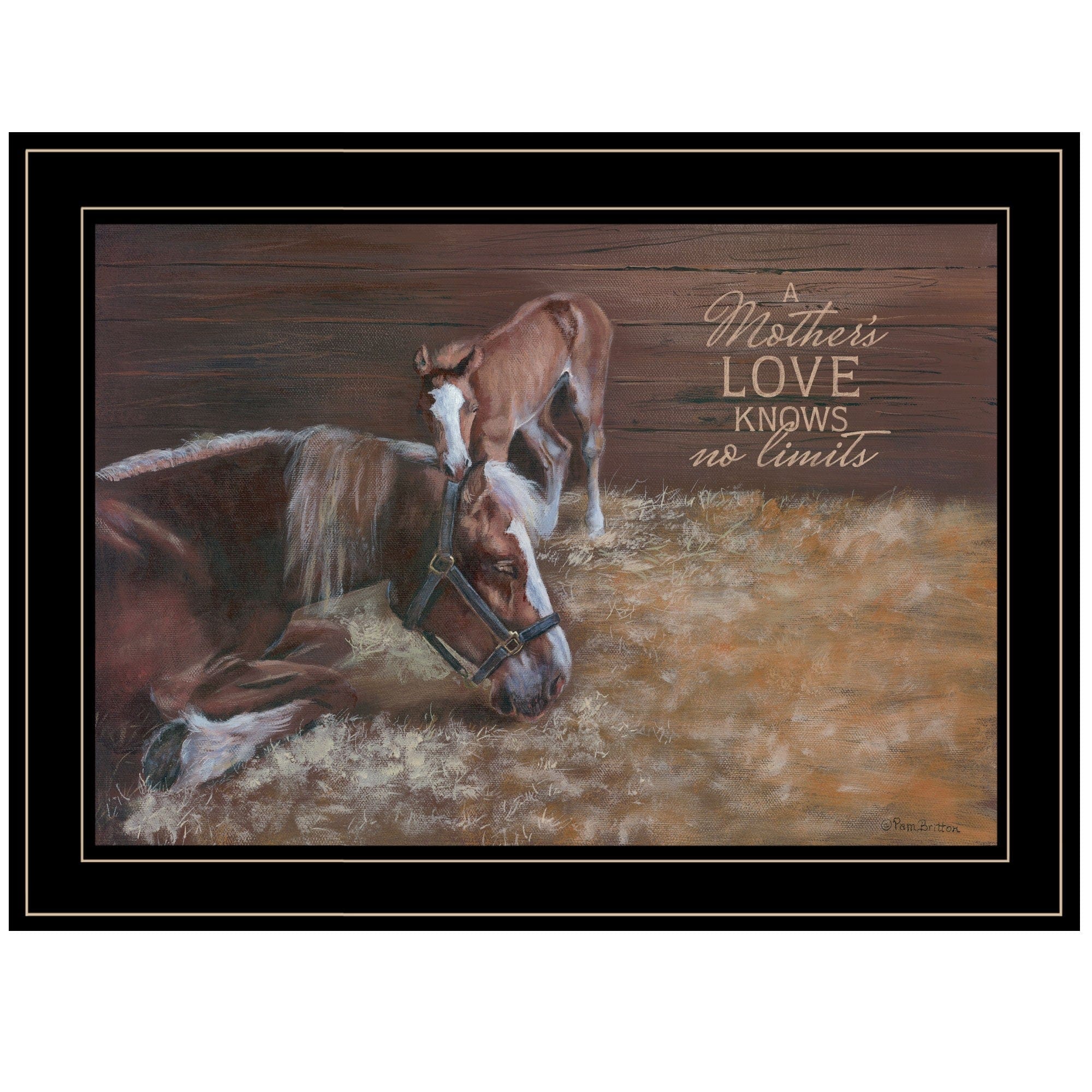 A Mother Love Horses 2 Black Framed Print Wall Art - Homeroots
