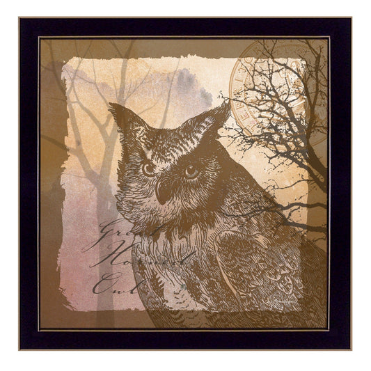 Owl 2 Black Framed Print Wall Art - Homeroots
