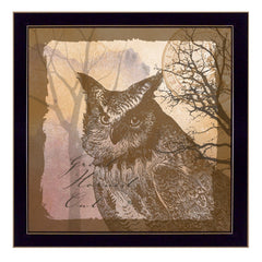 Owl 2 Black Framed Print Wall Art - Homeroots