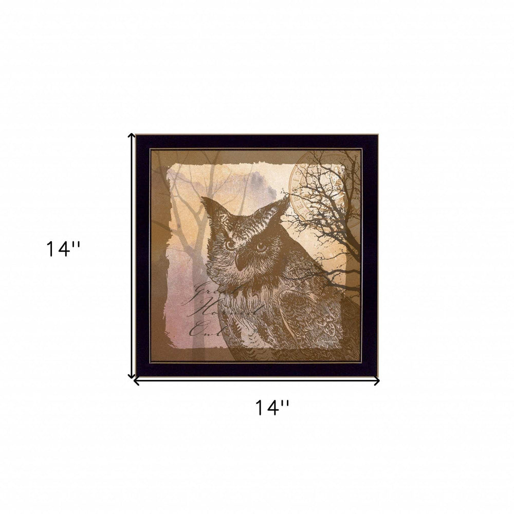 Owl 2 Black Framed Print Wall Art - Homeroots - Flyclothing LLC