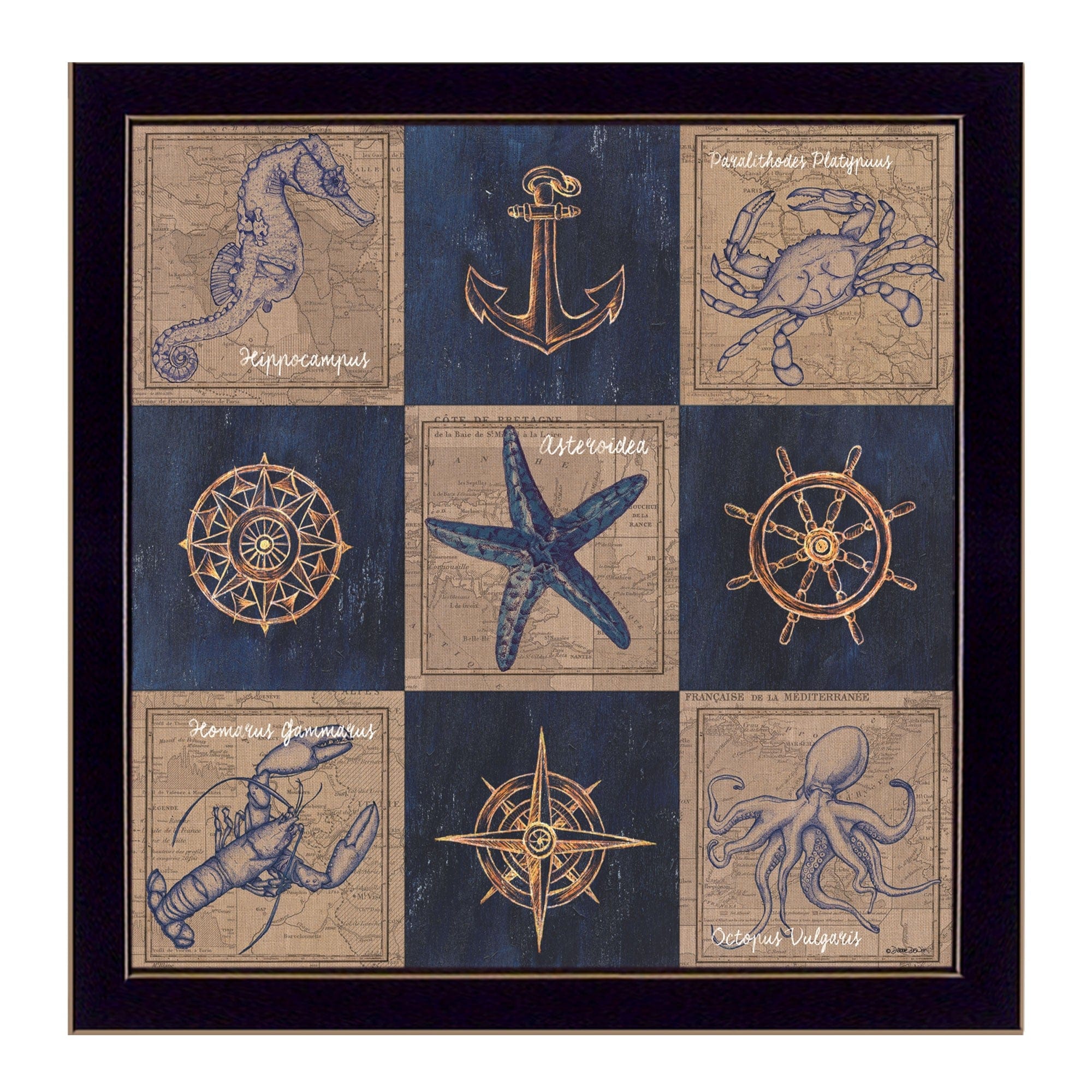 Coastal Collage I Black Framed Print Wall Art - Homeroots