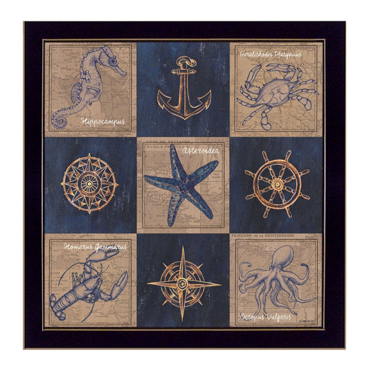 Coastal Collage I Black Framed Print Wall Art - Homeroots