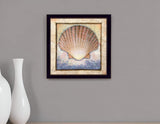 Shell Black Framed Print Wall Art - Homeroots - Flyclothing LLC