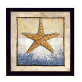 Starfish Black Framed Print Wall Art - Homeroots