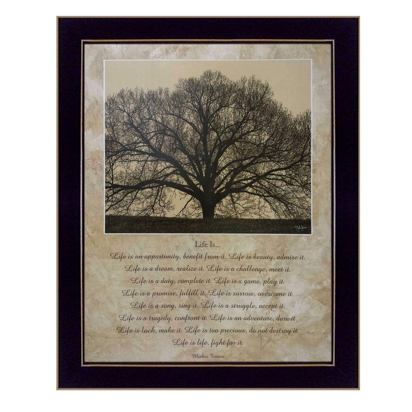 Life Is 10 Black Framed Print Wall Art - Homeroots - Flyclothing LLC