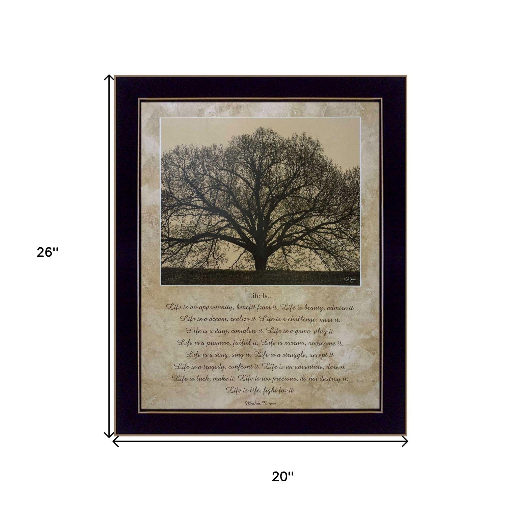 Life Is 10 Black Framed Print Wall Art - Homeroots