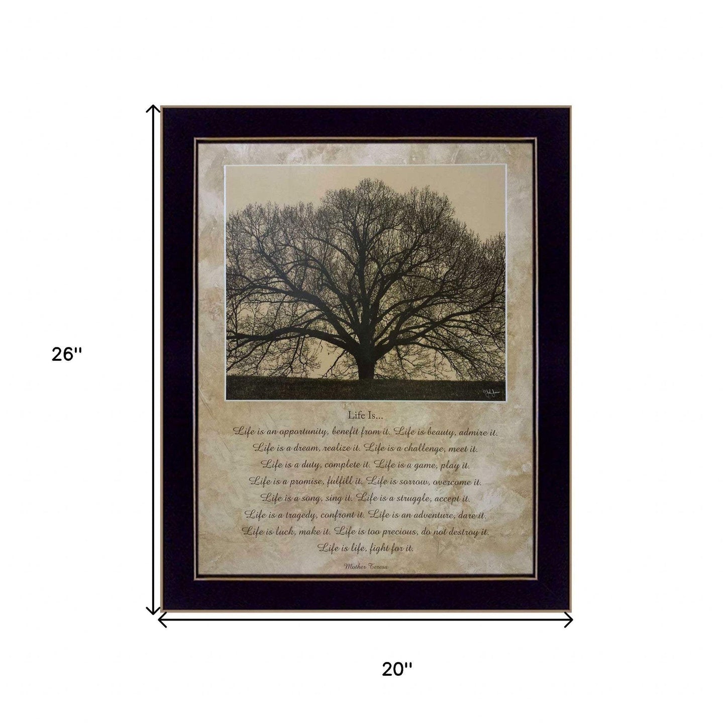 Life Is 10 Black Framed Print Wall Art - Homeroots - Flyclothing LLC
