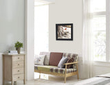 Country Cardinal Black Framed Print Wall Art - Homeroots - Flyclothing LLC