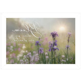 Bloom Where You are Planted White Framed Print Wall Art - Homeroots