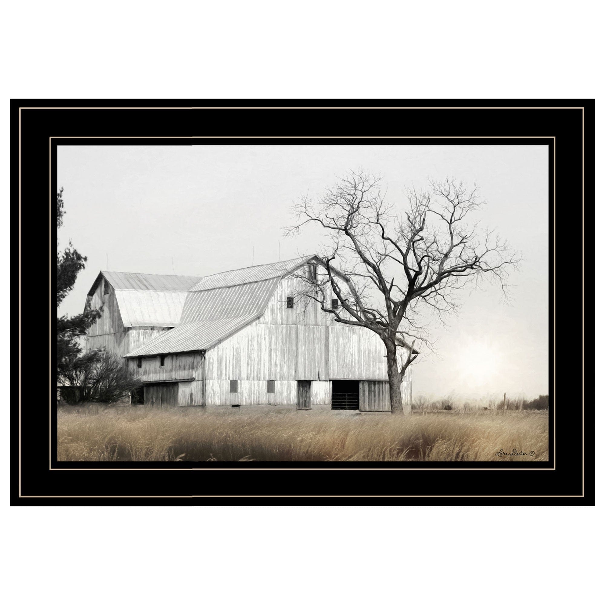 Ohio Fields I 2 Black Framed Print Wall Art - Homeroots