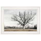 Earth and Sky 1 White Framed Print Wall Art - Homeroots