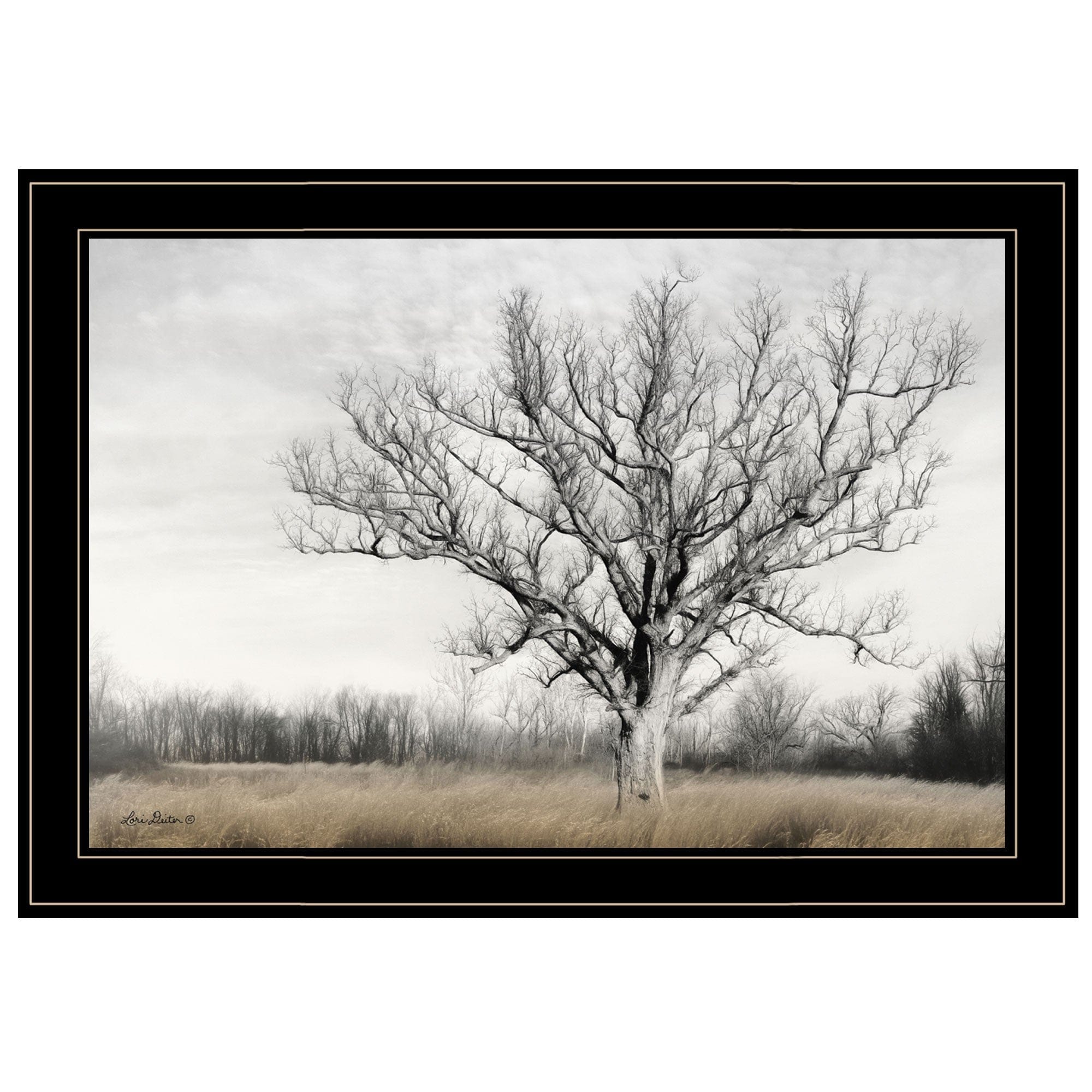 Earth and Sky 2 Black Framed Print Wall Art - Homeroots