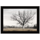 Earth and Sky 2 Black Framed Print Wall Art - Homeroots - Flyclothing LLC