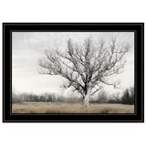 Earth and Sky 2 Black Framed Print Wall Art - Homeroots