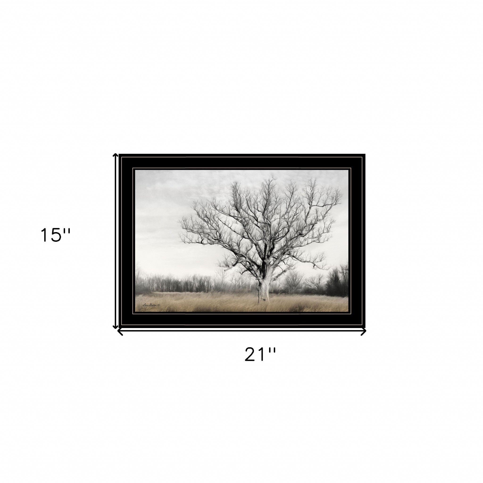 Earth and Sky 2 Black Framed Print Wall Art - Homeroots