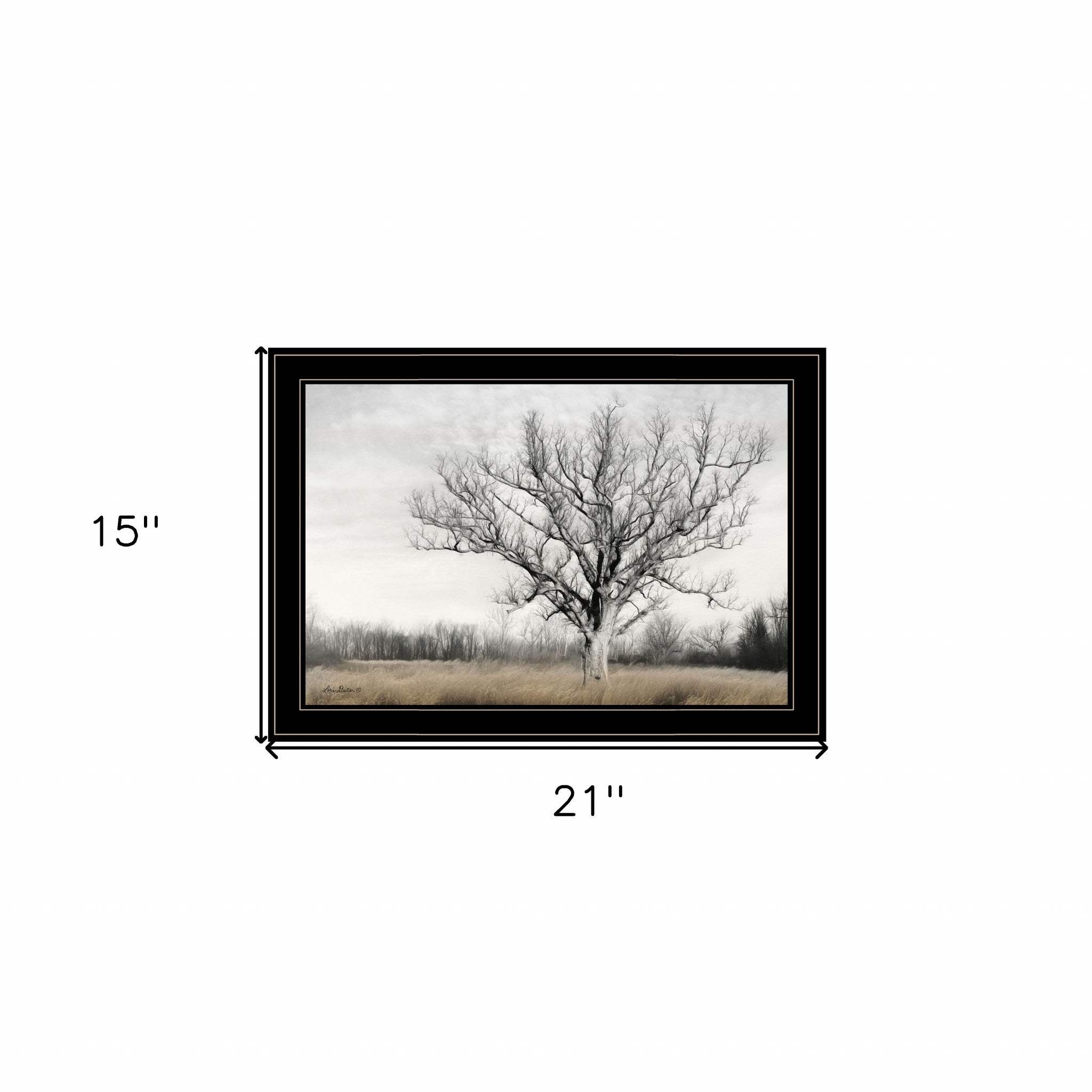 Earth and Sky 2 Black Framed Print Wall Art - Homeroots - Flyclothing LLC
