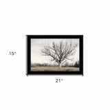 Earth and Sky 2 Black Framed Print Wall Art - Homeroots - Flyclothing LLC