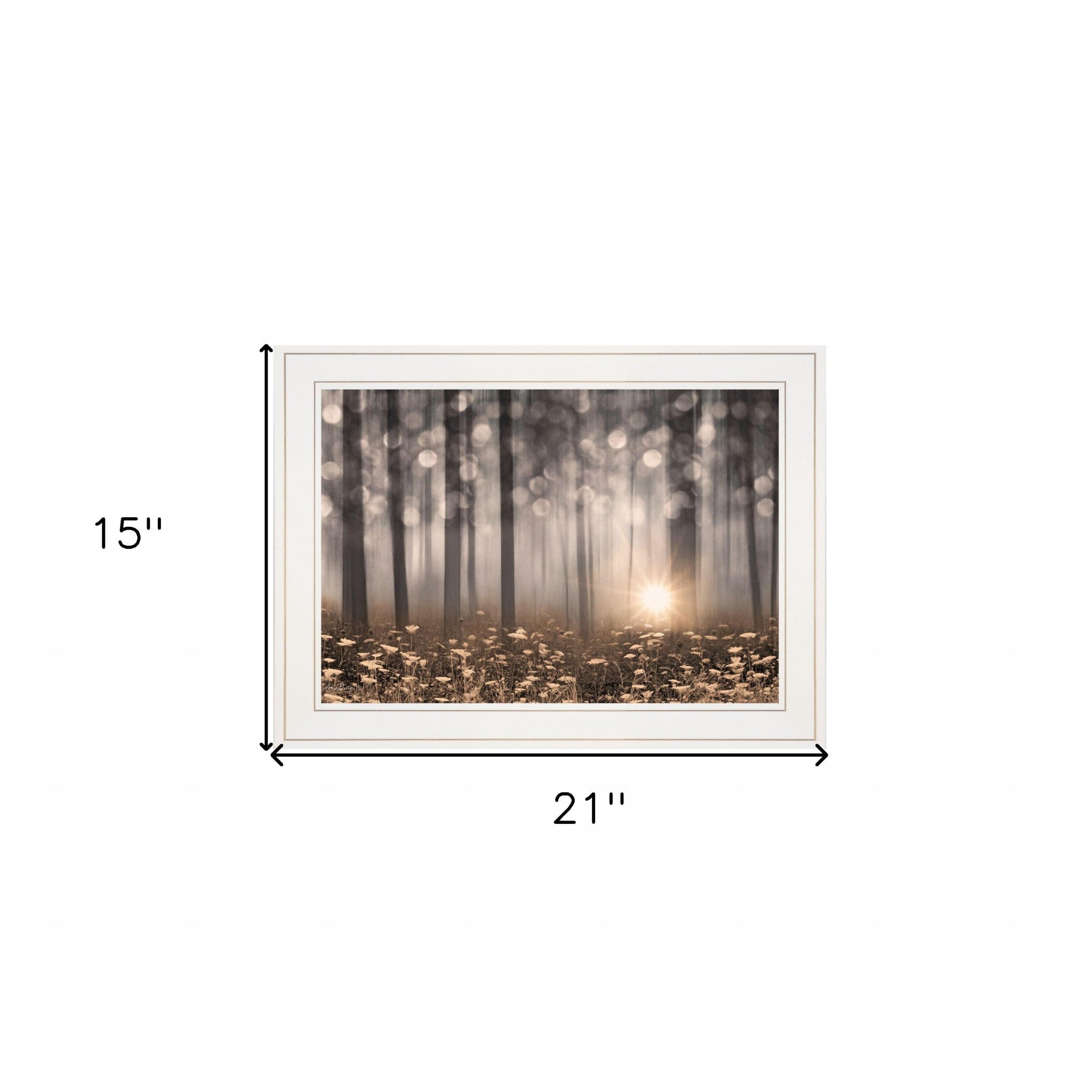 Enchanted Morning 1 White Framed Print Wall Art - Homeroots