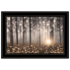 Enchanted Morning 2 Black Framed Print Wall Art - Homeroots