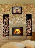 Blaze of Glory 2 Black Framed Print Wall Art - Homeroots