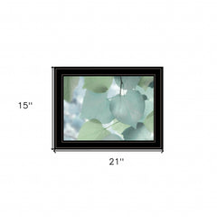 Aqua Leaves 2 Black Framed Print Wall Art - Homeroots