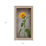Sunflower II Brown Framed Print Wall Art - Homeroots - Flyclothing LLC
