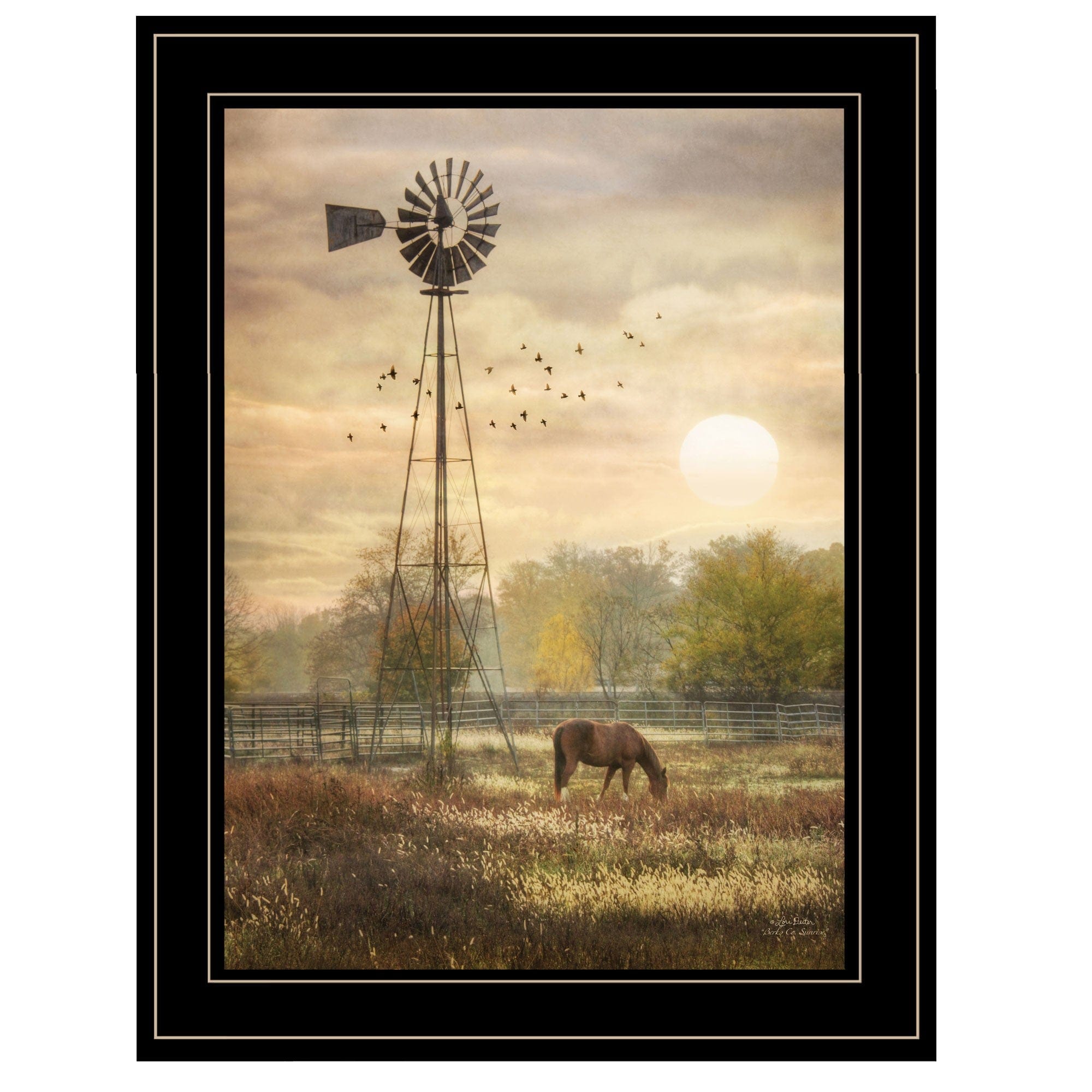Berks Co Sunrise Black Framed Print Wall Art - Homeroots