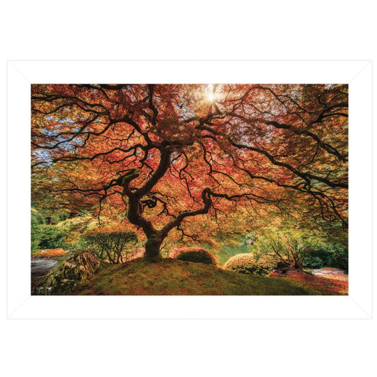 First Colors of Fall I 1 White Framed Print Wall Art - Homeroots