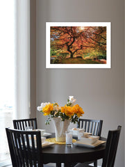 First Colors of Fall I 1 White Framed Print Wall Art - Homeroots