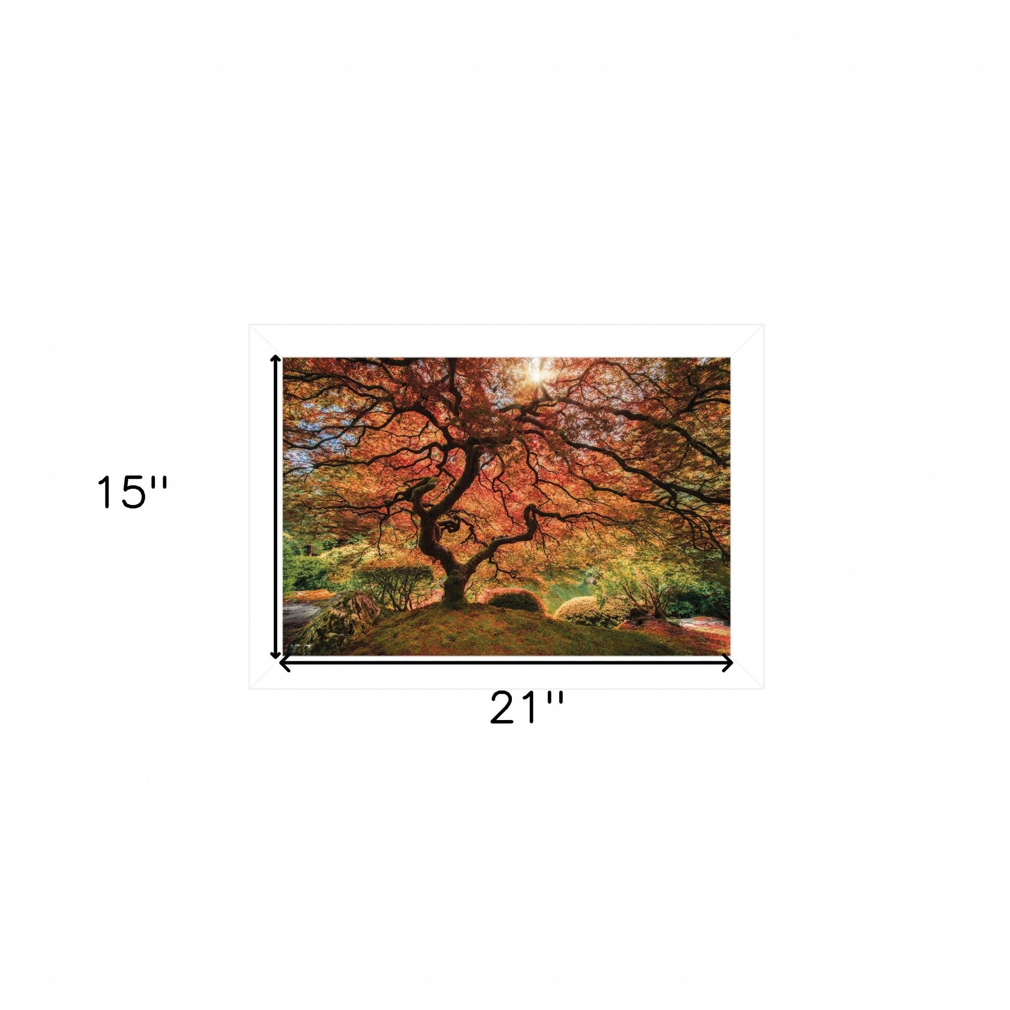 First Colors of Fall I 1 White Framed Print Wall Art - Homeroots