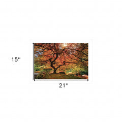 First Colors of Fall I 1 White Framed Print Wall Art - Homeroots